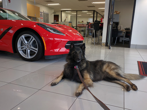 Pet Supply Store «PetSmart», reviews and photos, 3500 S Glenstone Ave, Springfield, MO 65804, USA