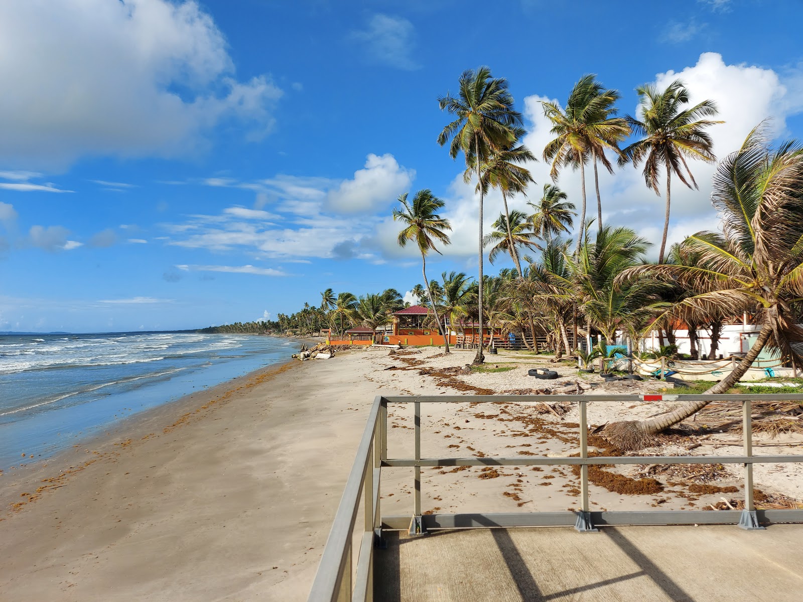 Manzanilla beach'in fotoğrafı parlak kum yüzey ile