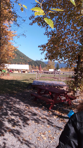 Tourist Attraction «Museum and Event Grounds for Mt. Rainier Railroad and Logging Museum», reviews and photos, 349 Mineral Creek Rd S, Mineral, WA 98355, USA