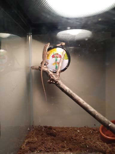 Pet Supply Store «Pet Supplies Plus», reviews and photos, 926 NJ-73, Marlton, NJ 08053, USA