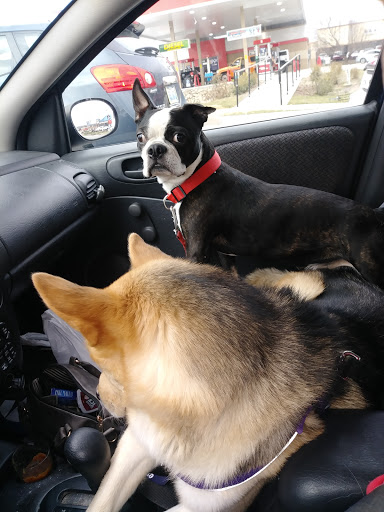 Pet Supply Store «Feeders Supply», reviews and photos, 1610 Ring Rd, Elizabethtown, KY 42701, USA