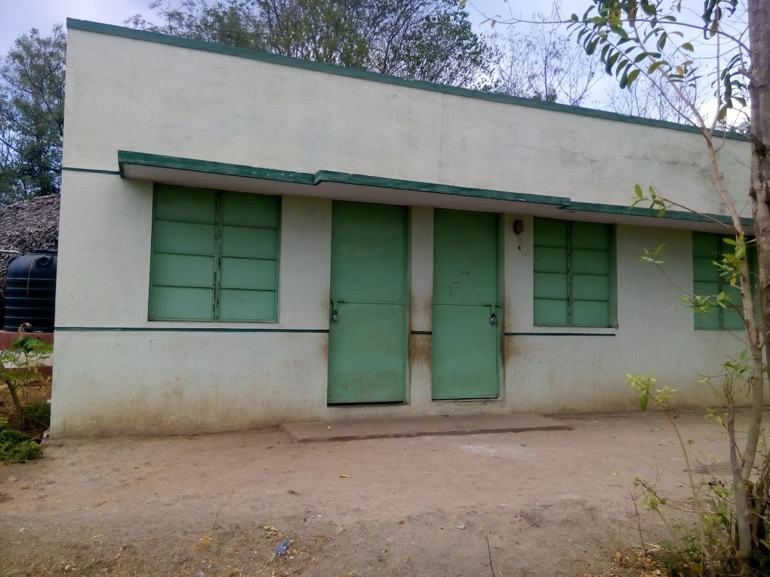 Govt.play School