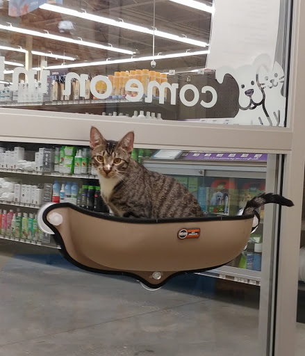 Pet Supply Store «Petco Animal Supplies», reviews and photos, 1298 W Granada Blvd #100, Ormond Beach, FL 32174, USA