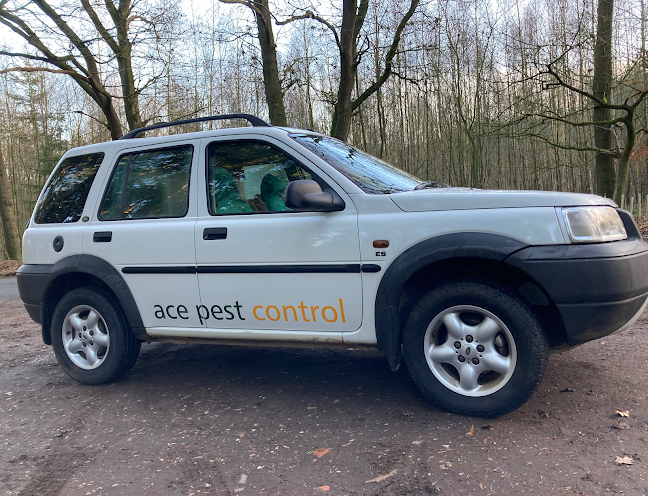 Comments and reviews of ACE PEST CONTROL - NORFOLK