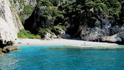 Mikro Seitani beach'in fotoğrafı vahşi alan