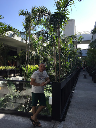 Department Store «Saks Fifth Avenue», reviews and photos, 9700 Collins Ave, Bal Harbour, FL 33154, USA