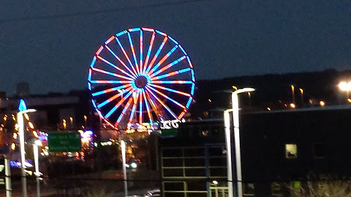 Discount Store «Big Lots», reviews and photos, 5901 Stevenson Ave, Alexandria, VA 22304, USA