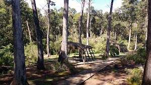 Parque Kojima - photo 1