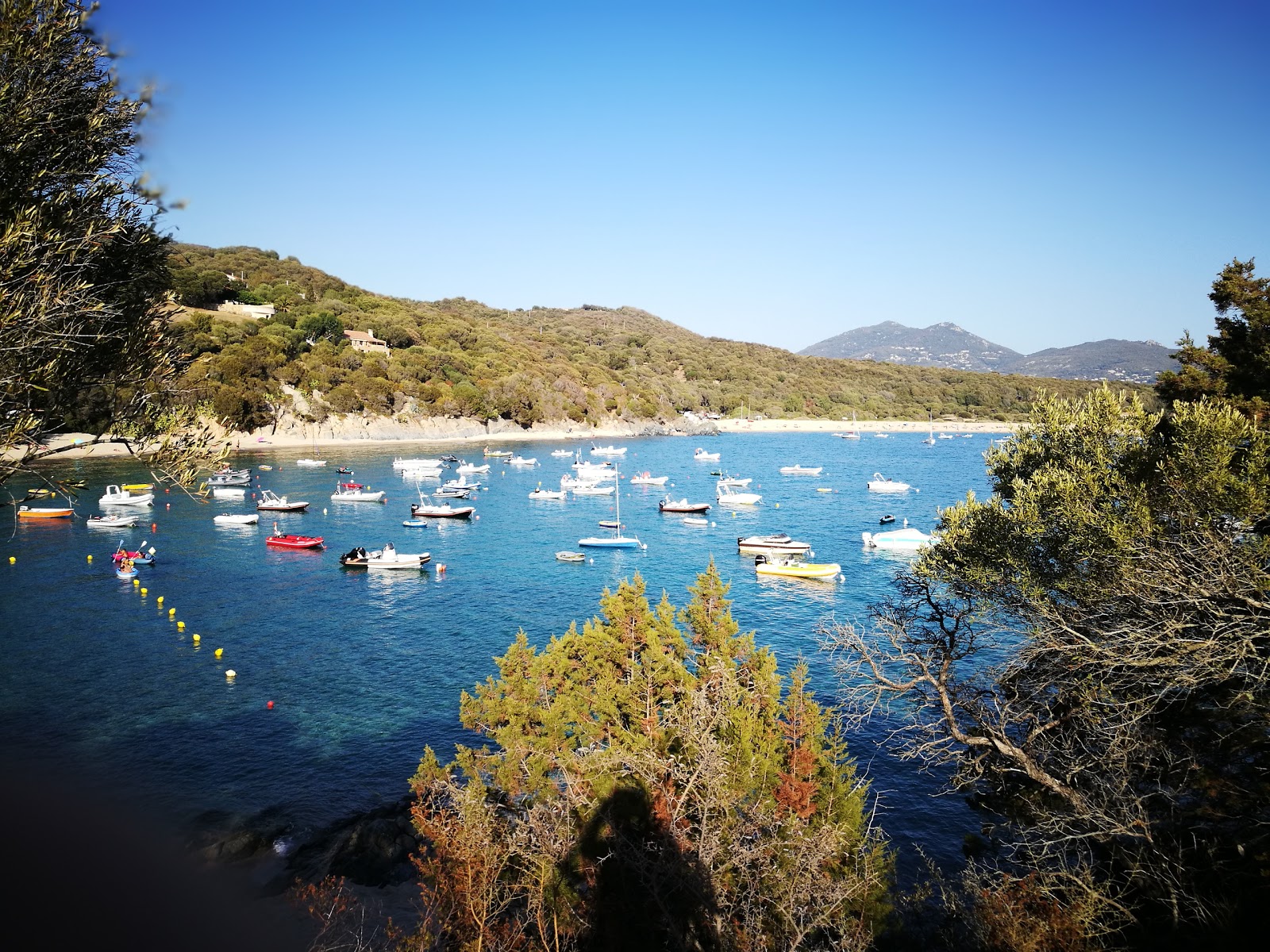 Foto von Aglio Camping beach mit türkisfarbenes wasser Oberfläche