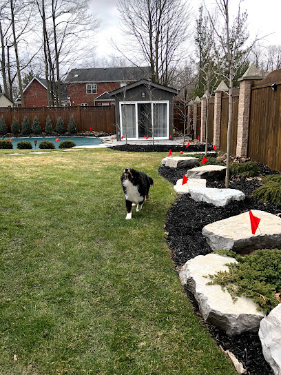 Dog Fence Ontario