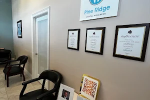 Lazaro Acosta DDS - Pine Ridge Dental Wellness image
