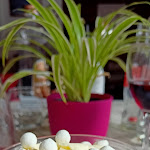 Photo n°6 de l'avis de Aracely.a fait le 02/03/2024 à 15:11 sur le  Le Barmé de l'Ours à Rhêmes-Saint-Georges