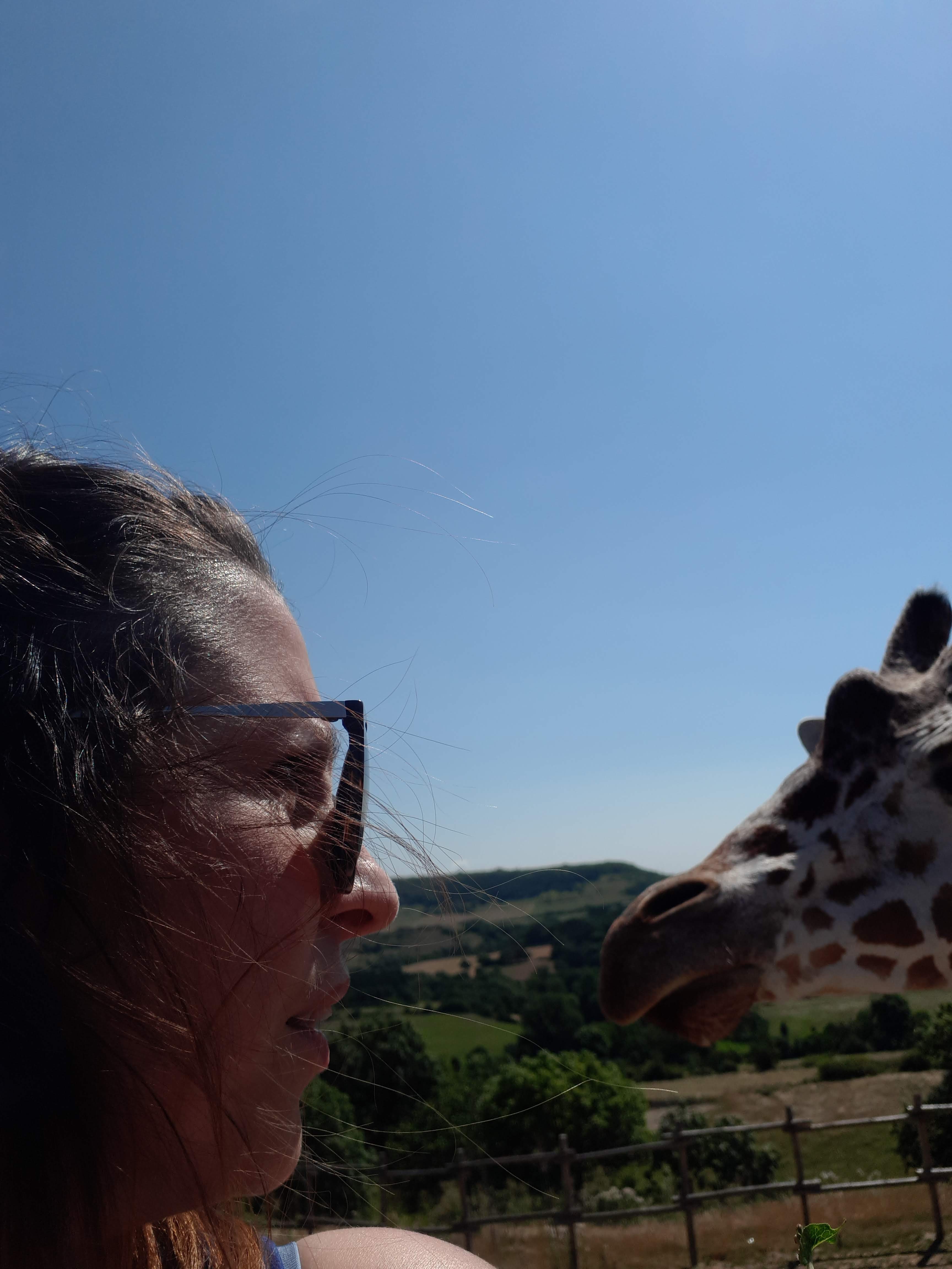 Photo n° 3 de l'avis de Mi.e fait le 05/08/2018 à 16:30
