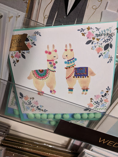 Greeting Card Shop «Papyrus», reviews and photos, 18 John F. Kennedy St, Cambridge, MA 02138, USA