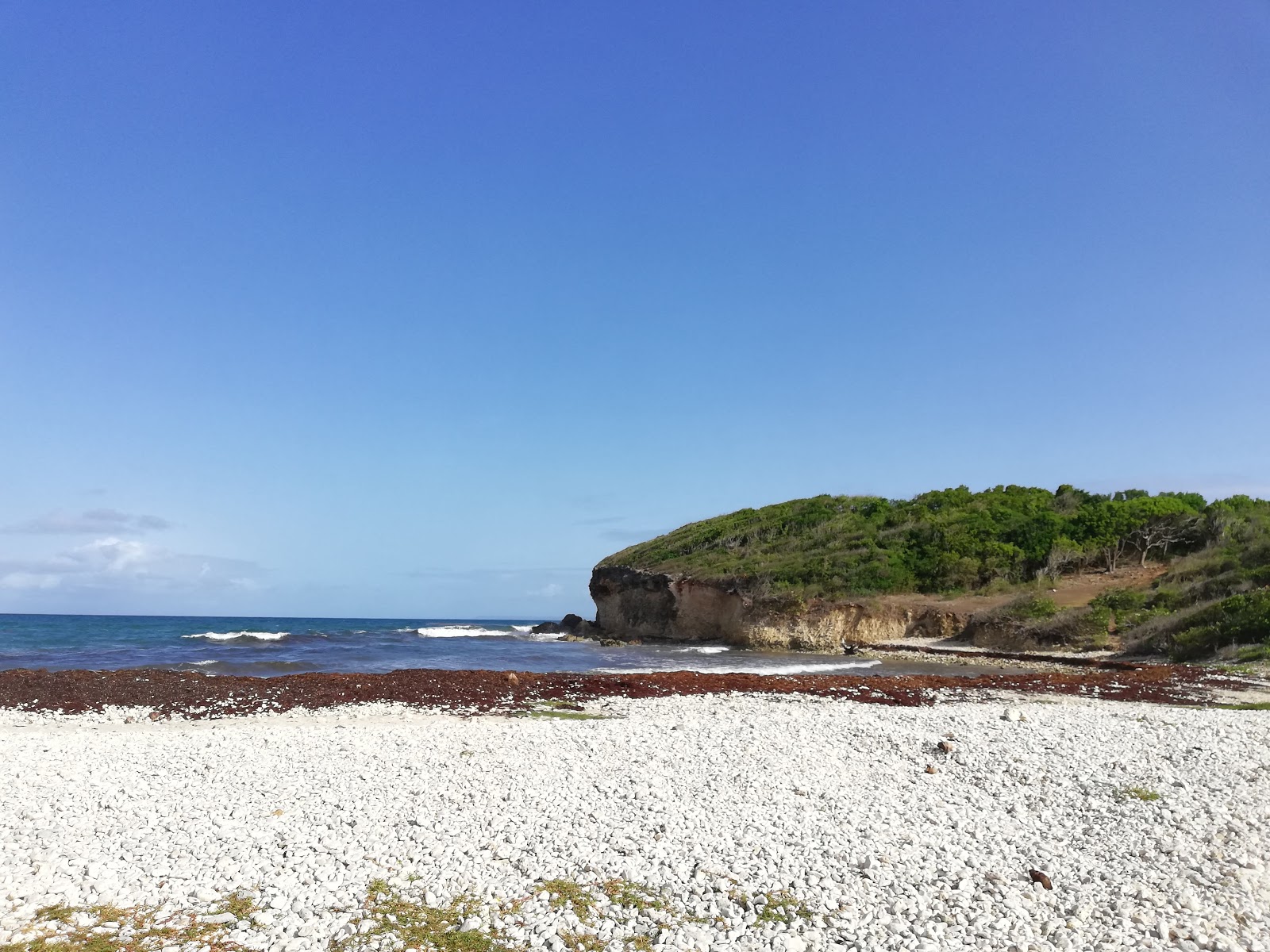 Foto de Plage de Gros Sable área selvagem