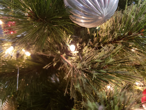 Gym «Retro Fitness - Rego Park», reviews and photos, 92-77 Queens Blvd, Rego Park, NY 11374, USA