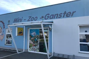 Mini-Zoo Ganster image