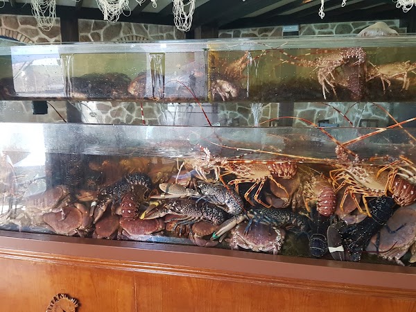 Imagen de Restaurante Trasmallo (7 de 29)