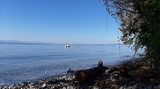 Plage naturiste de La Pinede