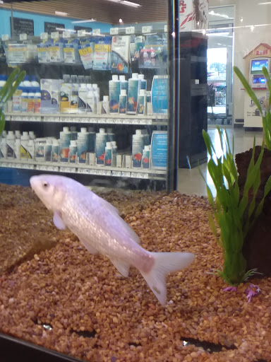 Pet Supply Store «Petco Animal Supplies», reviews and photos, 1963 S Hurstbourne Pkwy, Louisville, KY 40220, USA