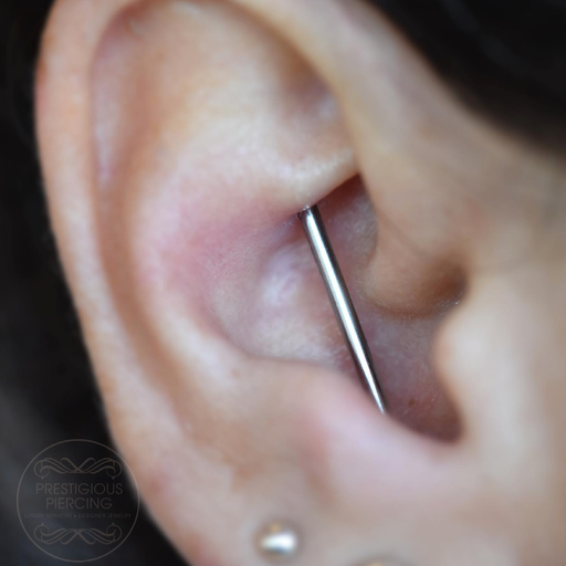 Find cat tattoo ideas female for your next unique tattoo in Corpus Christi at Prestigious Piercing