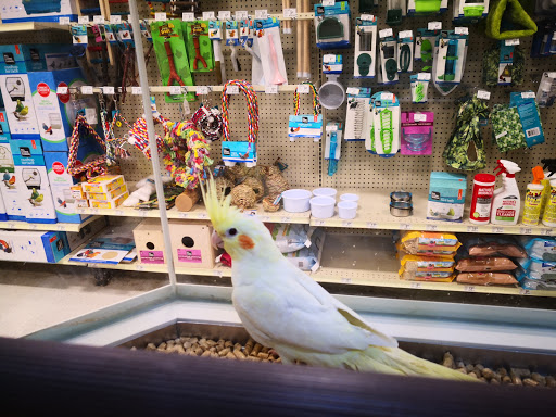 Pet Supply Store «PetSmart», reviews and photos, 6807 W Canal Dr, Kennewick, WA 99336, USA