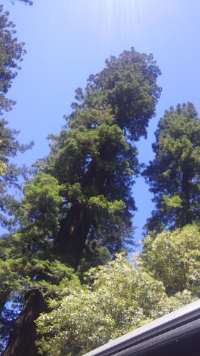 Pet Supply Store «Farmyard Feed», reviews and photos, 27705 Dutcher Creek Rd, Cloverdale, CA 95425, USA