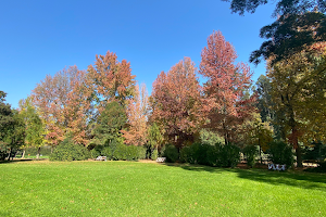 Viña del Mar National Botanical Garden image