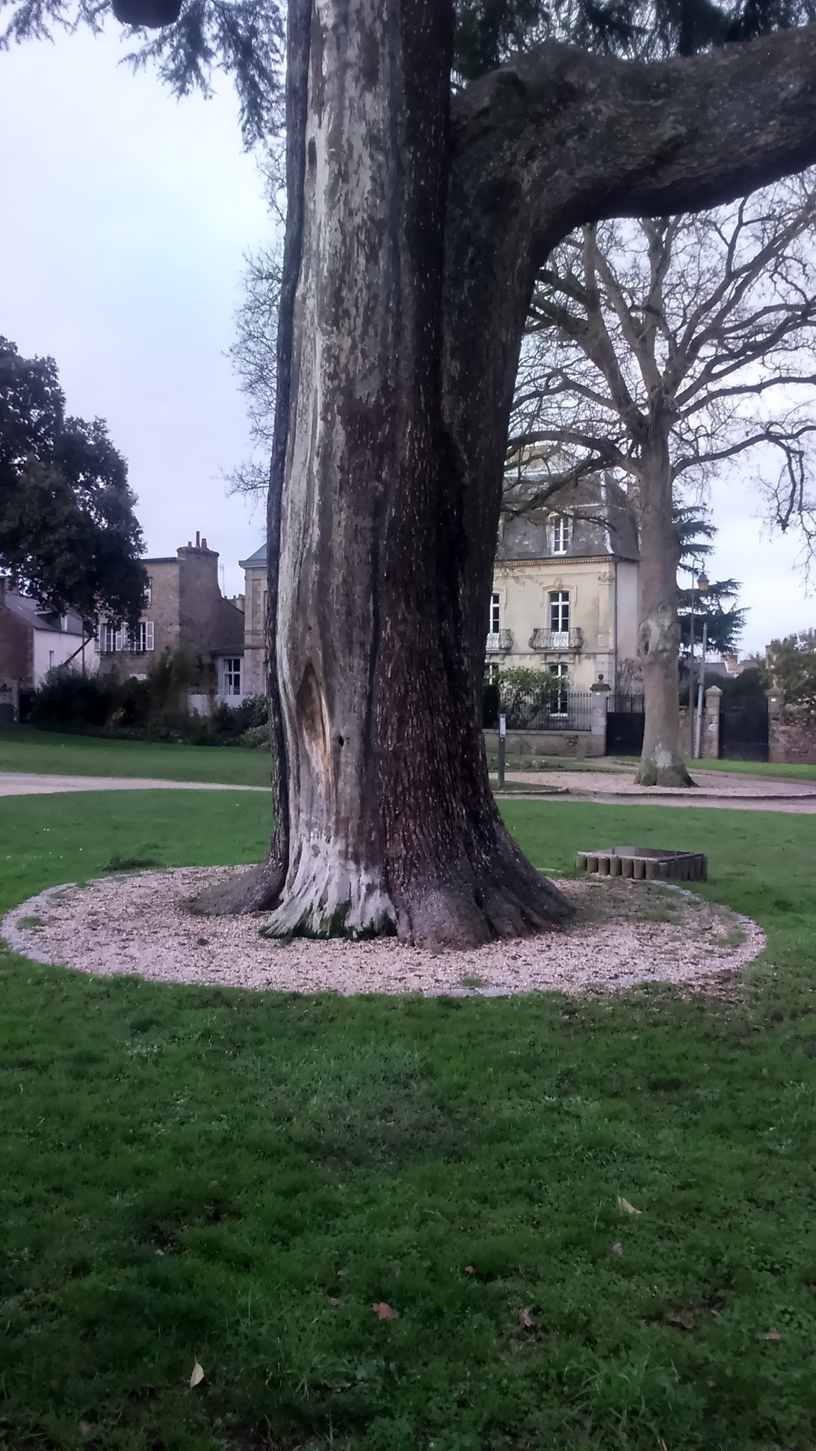 Photo n° 8 de l'avis de nounoursdelyon.� fait le 06/02/2017 à 10:02