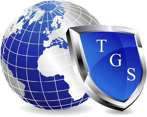 Triton Global Services, Inc.