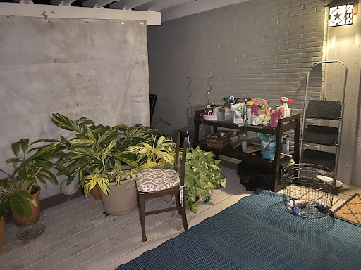 Real Estate Agency «Real Estate Muses», reviews and photos, 925 Burr Rd, San Antonio, TX 78209, USA