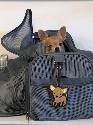 Pet Supply Store «Sonoma Pet and Aquatics», reviews and photos, 201 W Napa St #7, Sonoma, CA 95476, USA