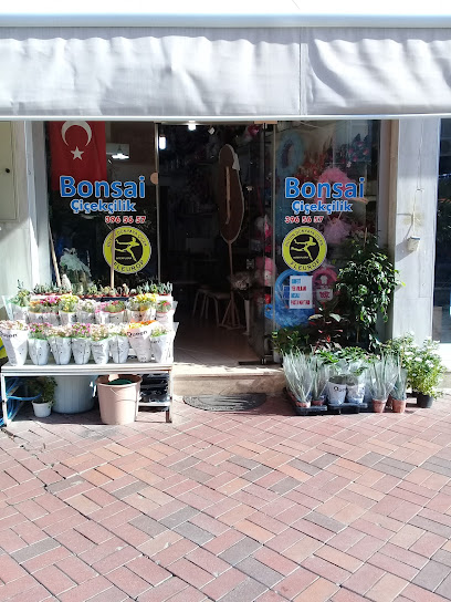 Bonsai çiçekçilik