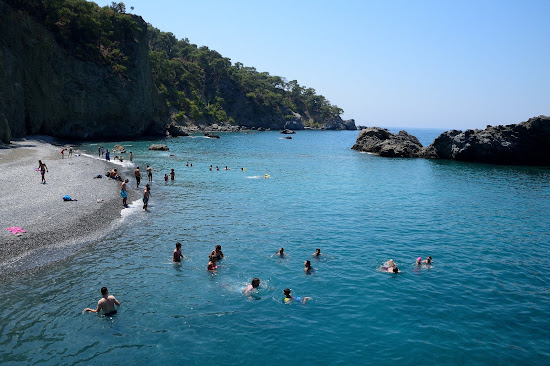 Camel beach