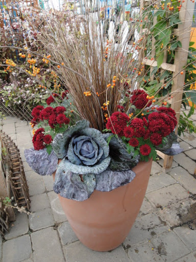 Garden Center «West End Florist & Garden Center», reviews and photos, 3800 Old Glenview Rd, Evanston, IL 60201, USA