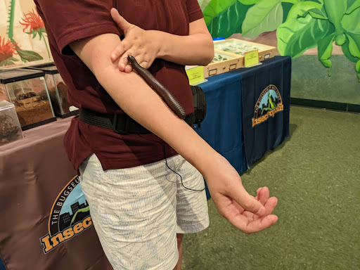 Museum «Insectropolis», reviews and photos, 1761 U.S. 9, Toms River, NJ 08755, USA