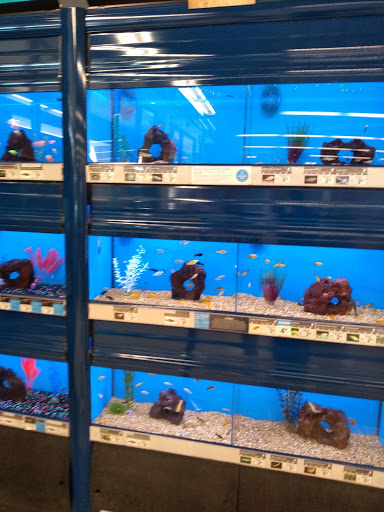 Pet Supply Store «Petco Animal Supplies», reviews and photos, 10819 Zelzah Ave, Granada Hills, CA 91344, USA