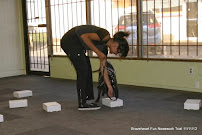 You & Me Dog Walking and Nosework