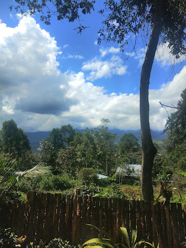 Opinii despre La Casa De Manzana în Chontabamba - Restaurante