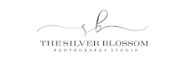 The Silver Blossom Photography Studio - Photo 3 - Car repair in North St Paul, MN, St. Paul