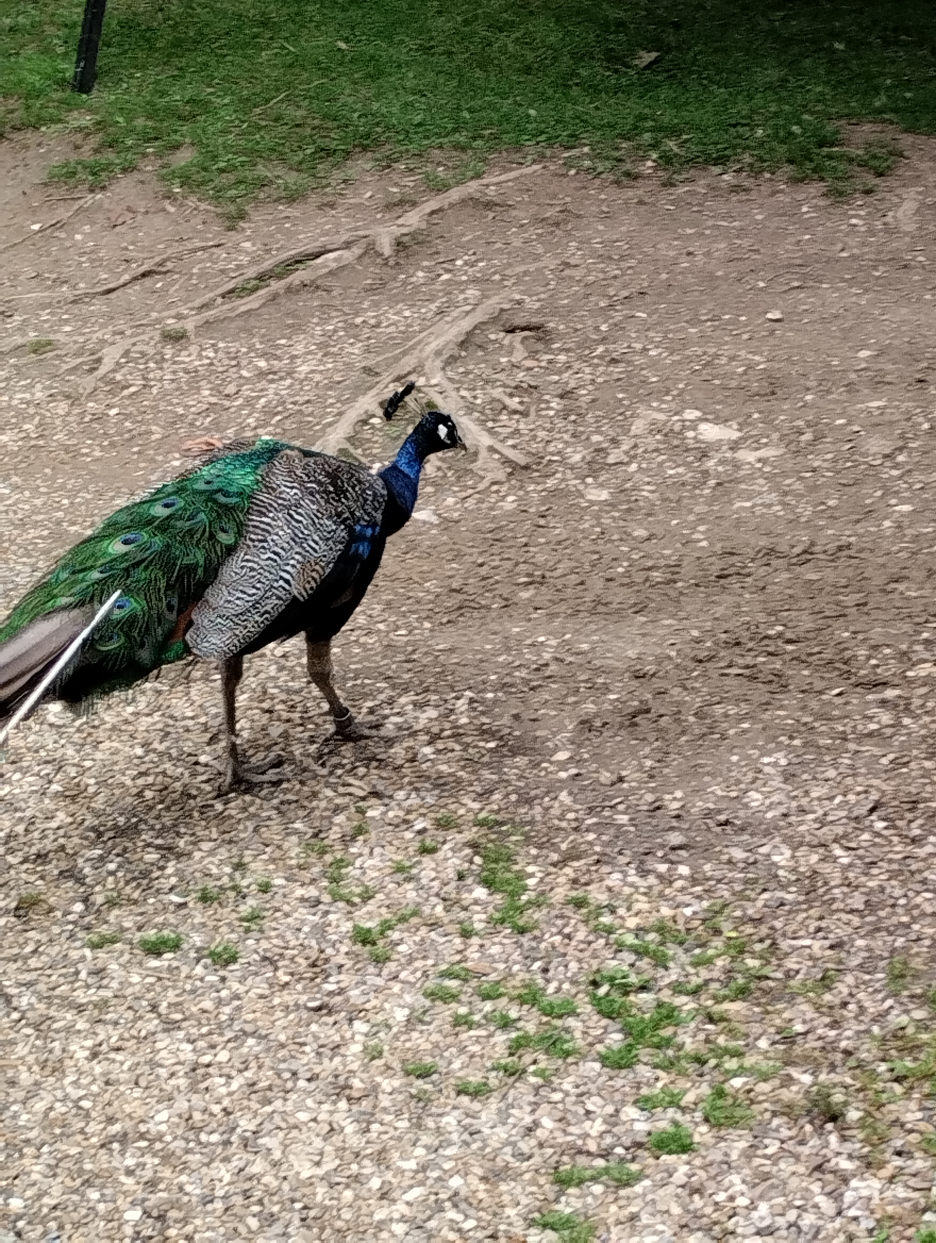 Photo n° 8 de l'avis de Christel.a fait le 04/08/2023 à 19:14