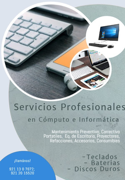 Servicios Profesionales en computo e informatica
