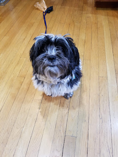 Pet Supply Store «Petco Animal Supplies», reviews and photos, 163 Highland Ave, Needham, MA 02494, USA