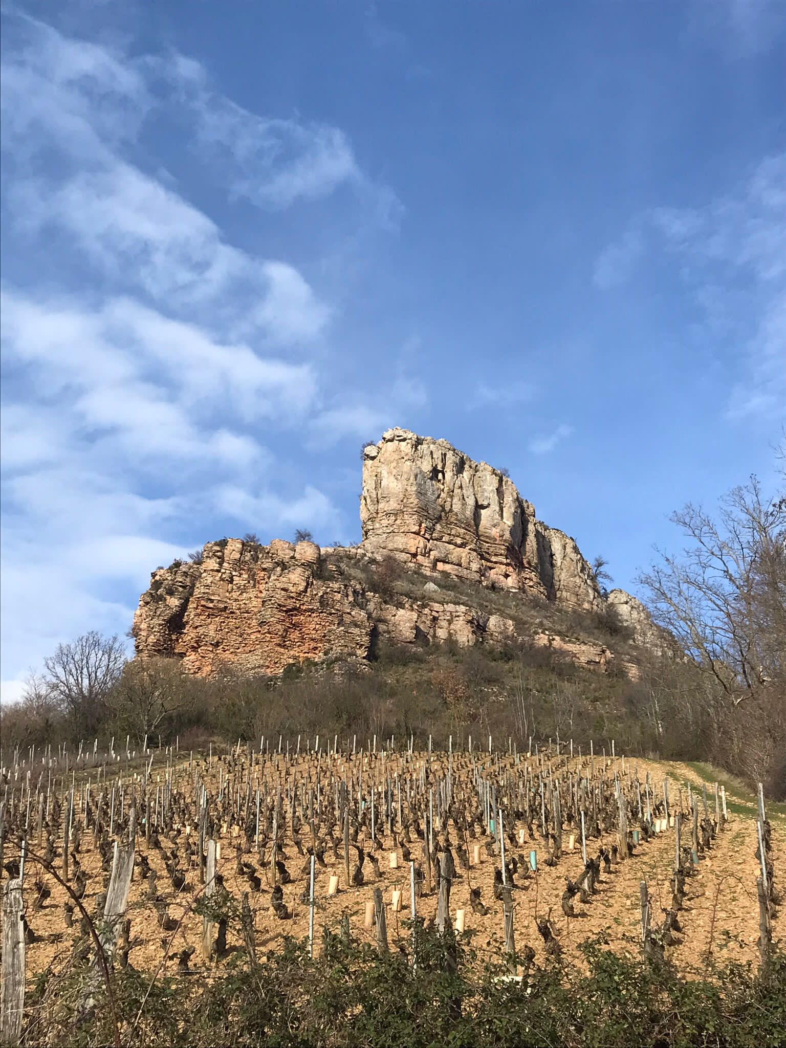 Photo n° 1 de l'avis de Michèle.U fait le 16/02/2024 à 18:56