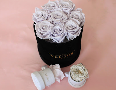 Velour Roses