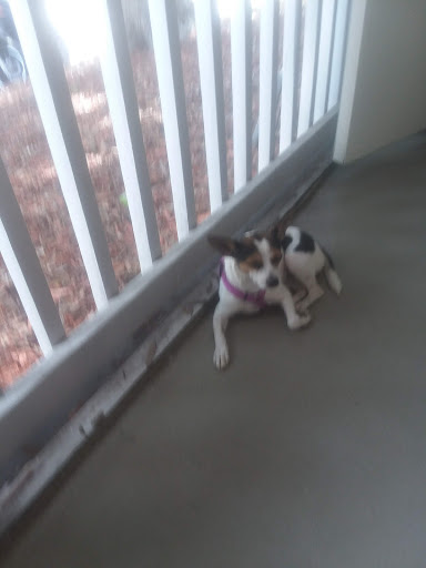 Pet Supply Store «Petco Animal Supplies», reviews and photos, 30697 US Hwy 19 N, Palm Harbor, FL 34684, USA