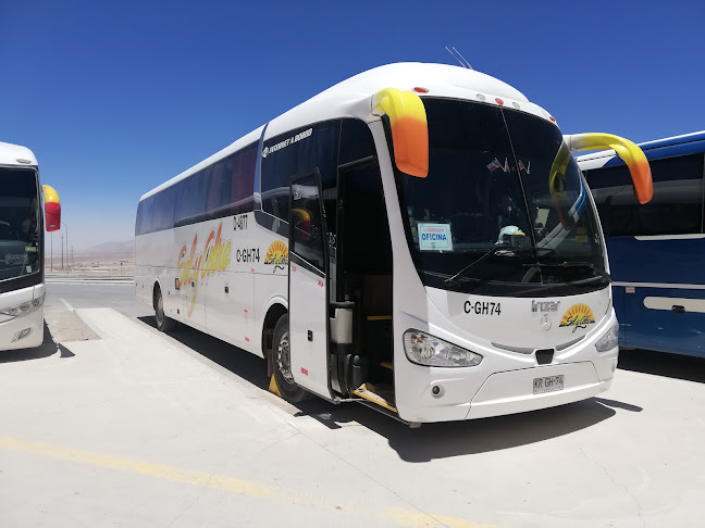 Sociedad de Transportes Sol y Cobre - Antofagasta