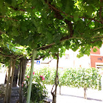 Photo n°1 de l'avis de Ingo.r fait le 03/07/2018 à 18:50 sur le  Weingut & Restaurant St. Nepomuk à Rech