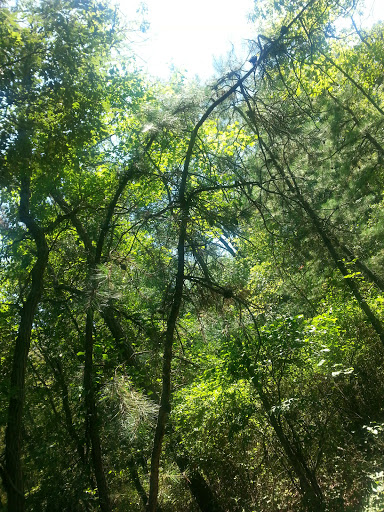 Nature Preserve «Eldora Nature Preserve», reviews and photos, 2350 NJ-47, Delmont, NJ 08314, USA