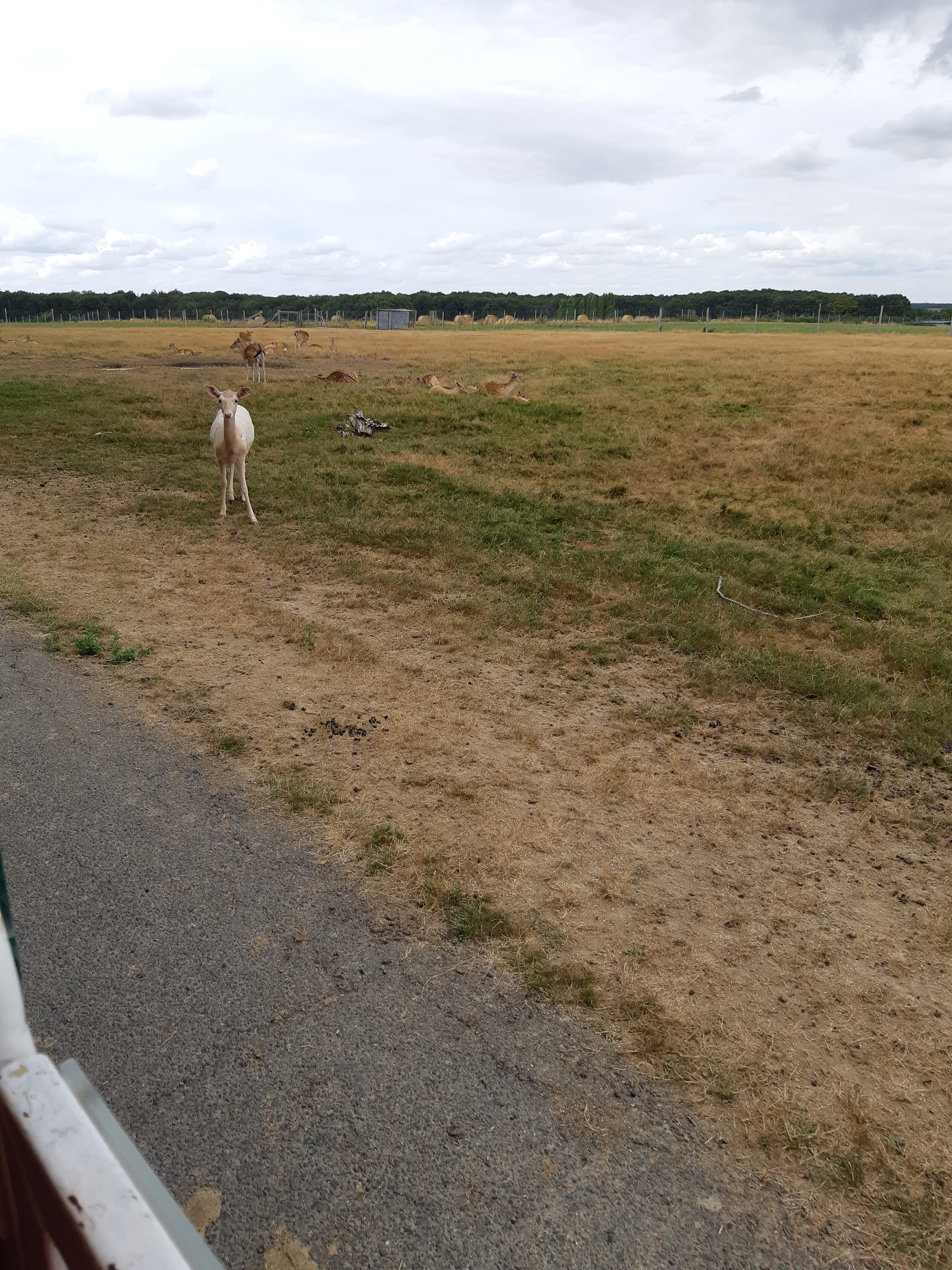Photo n° 16 de l'avis de Carla.a fait le 10/08/2018 à 15:54